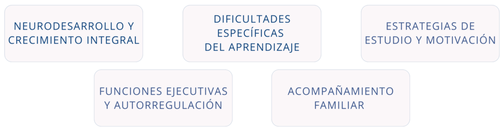 acompaÑamiento familiar(1)